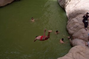 Gallery Thumbnail 0