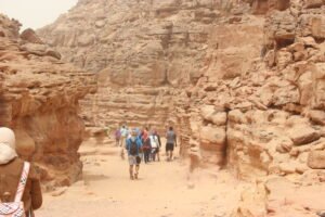 Gallery Thumbnail 2