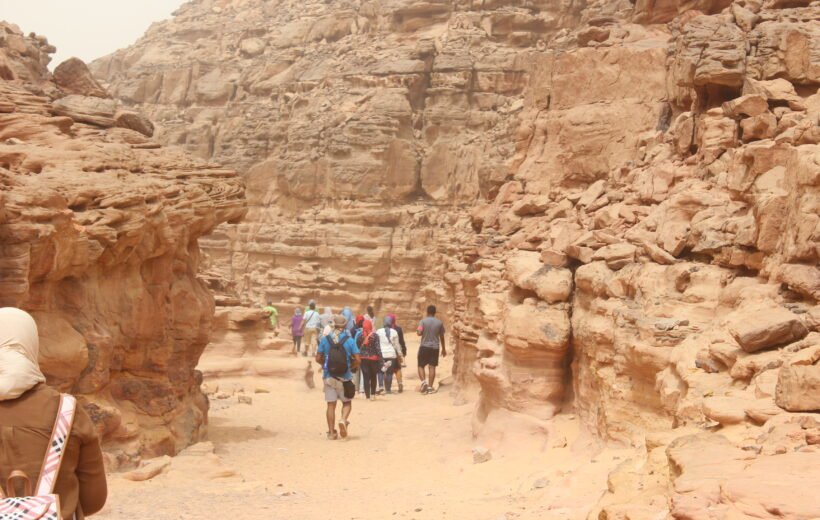 Full-Day Trip to White Canyon, Ain Khudra & Mushroom Rock - رحلة يوم كامل إلى الكانيون الأبيض، واحة عين حضرة وصخرة المشروم