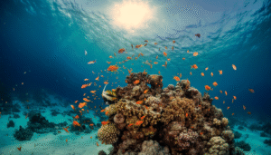 Gallery Thumbnail 13