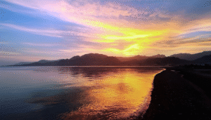 Gallery Thumbnail 14