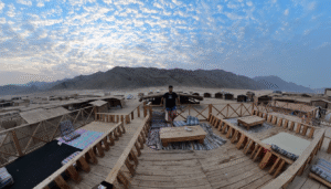 Gallery Thumbnail 10