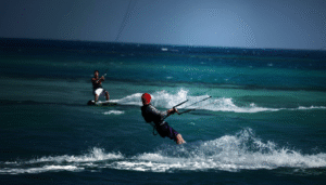 Gallery Thumbnail 11