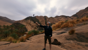 Gallery Thumbnail 11