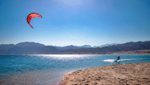 Gallery Thumbnail 10