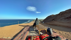 Gallery Thumbnail 10