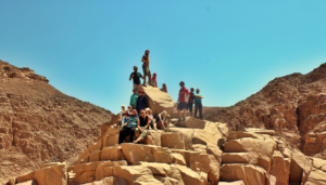 Gallery Thumbnail 4