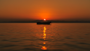 Gallery Thumbnail 3