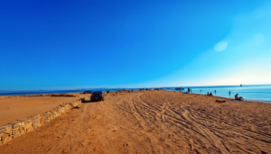 Gallery Thumbnail 0